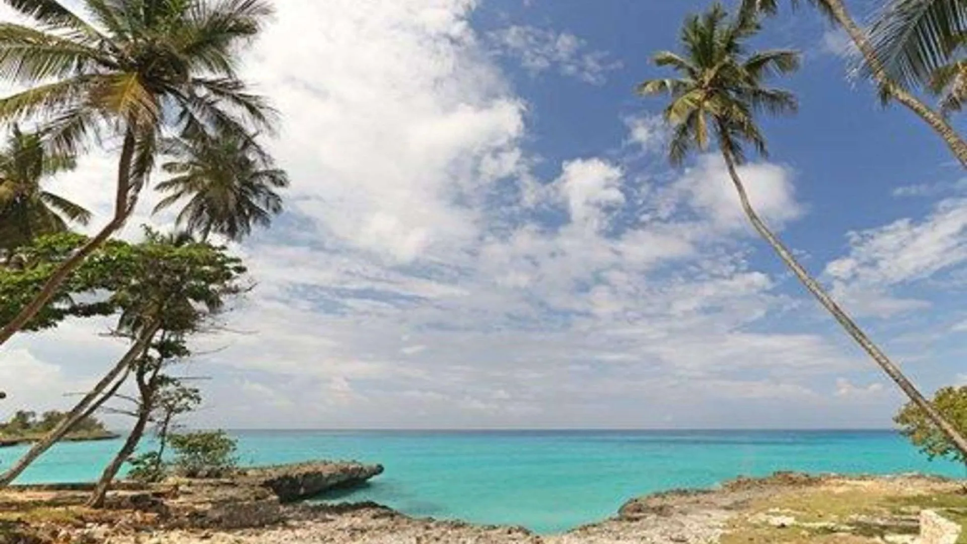 Four Points By Sheraton Santo Domingo La Caleta Hotel