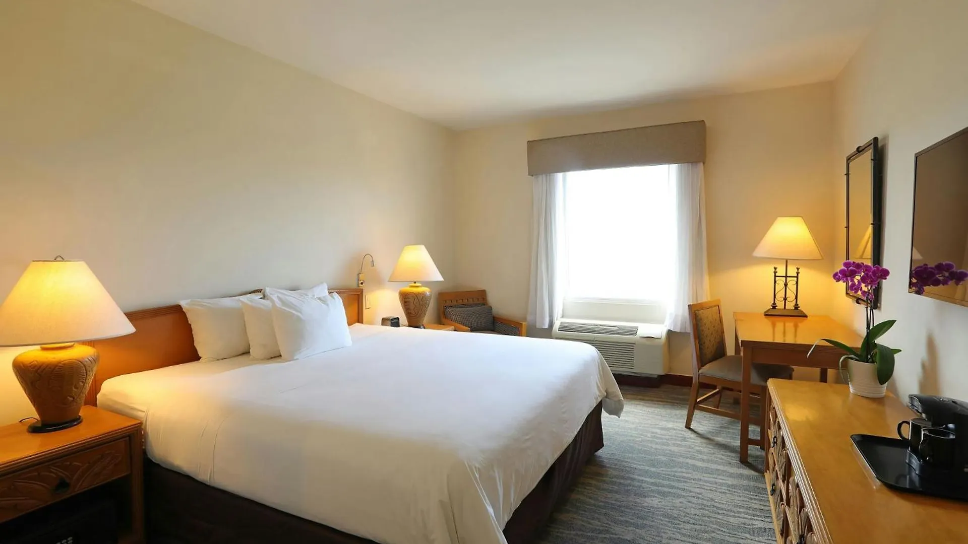 Hotel Four Points By Sheraton Santo Domingo La Caleta